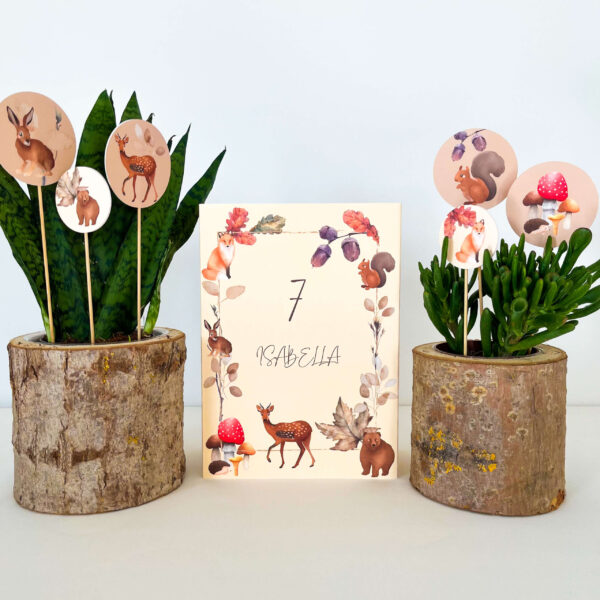 SET DECORAZIONI piccolo "ANIMALI DEL BOSCO" (6pz) - Image 5