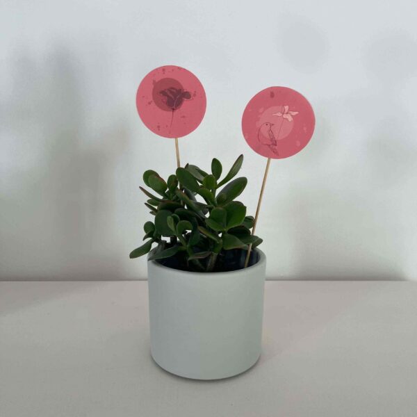 SET DECORAZIONI grande "UCCELLINI" (6pz) - immagine 3