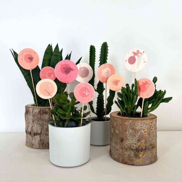 SET DECORAZIONI piccolo "UCCELLINI" (6pz) - immagine 4