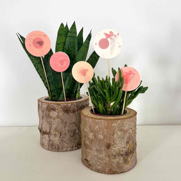 SET DECORAZIONI piccolo "UCCELLINI" (6pz) - immagine 3