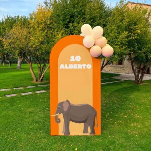 SET FOTOGRAFICO "SAFARI"  Arco Centrale