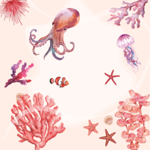 Mare Rosa