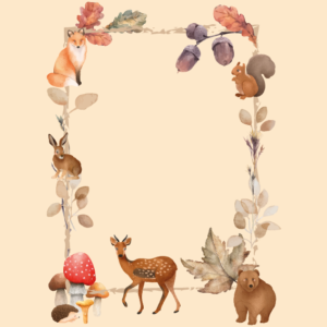 Animali del Bosco