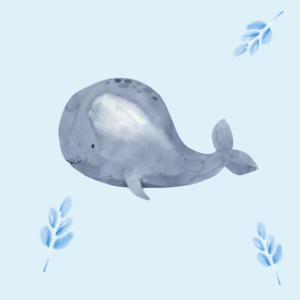 Balena